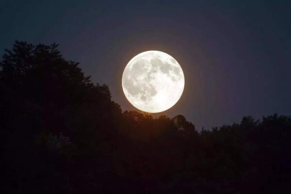 Shravan Full Moon: Zodiac sign remedies for good fortune on Narali Purnima 2025